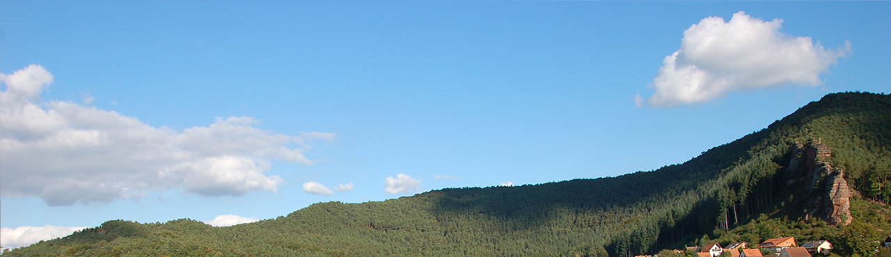 Themenbild Werke Dahner Felsenland Themenbild Werke Dahner Felsenland