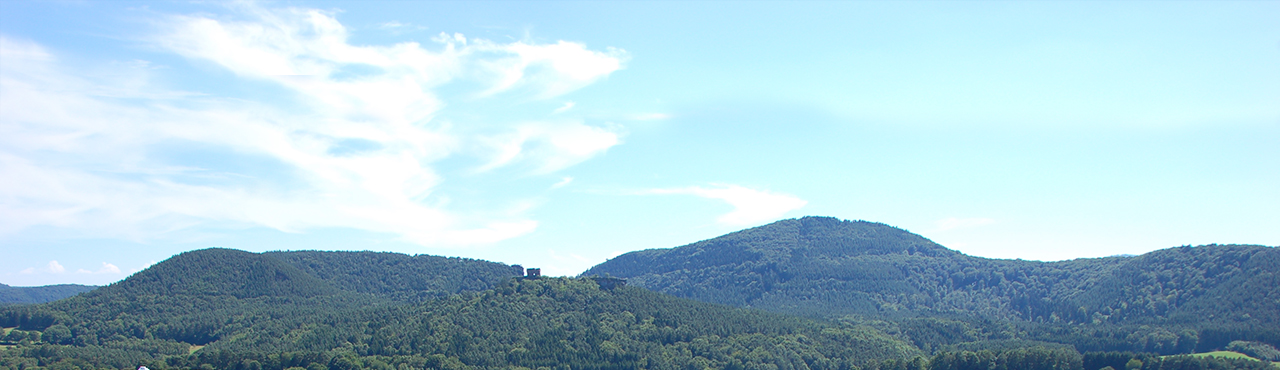 Themenbild Werke Dahner Felsenland Themenbild Werke Dahner Felsenland