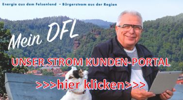 zum Kunden-Portal mein DFL Kundenportal